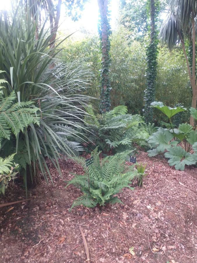 Un Jardin En Pente Douce Βίλα Locquenole Εξωτερικό φωτογραφία