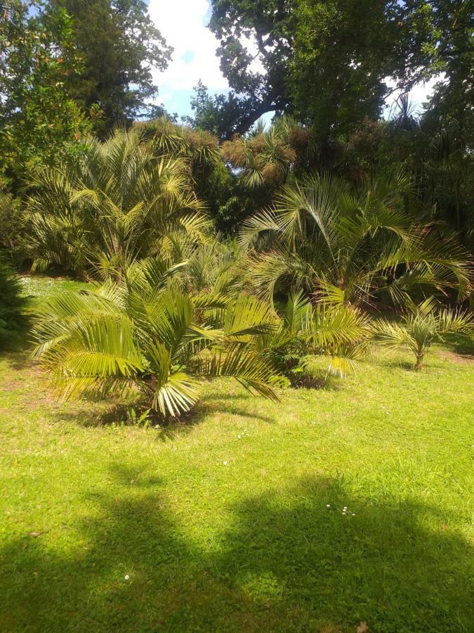 Un Jardin En Pente Douce Βίλα Locquenole Εξωτερικό φωτογραφία