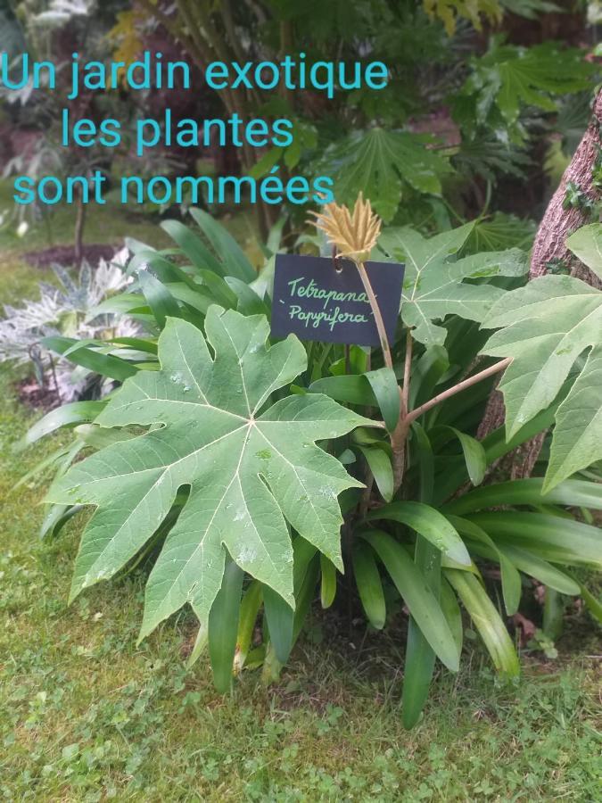 Un Jardin En Pente Douce Βίλα Locquenole Εξωτερικό φωτογραφία